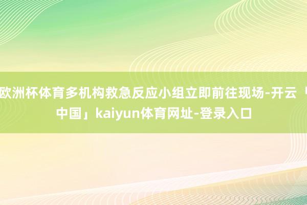 欧洲杯体育多机构救急反应小组立即前往现场-开云「中国」kaiyun体育网址-登录入口