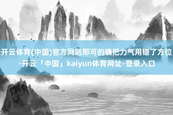 开云体育(中国)官方网站那可的确把力气用错了方位-开云「中国」kaiyun体育网址-登录入口