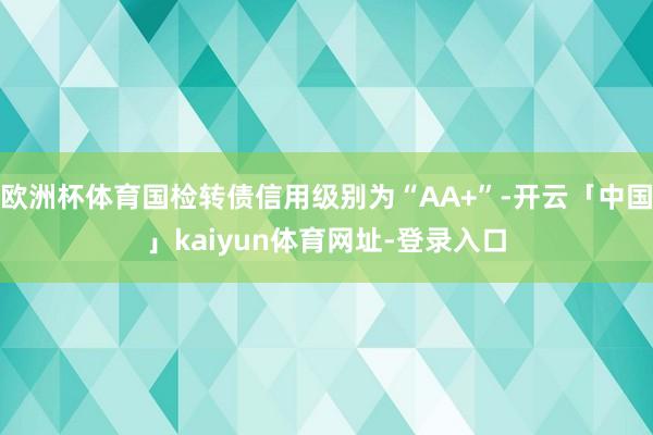 欧洲杯体育国检转债信用级别为“AA+”-开云「中国」kaiyun体育网址-登录入口